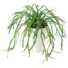 観葉植物 人工樹木 フェイクグリーン 造花 リプサリス 高さ250mm 鉢:SA-4(WH) 卓上-19