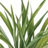 観葉植物 人工樹木 フェイクグリーン 造花 アオオリヅルラン 高さ400mm 鉢:SA-4(BK) 卓上-1