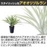 観葉植物 人工樹木 フェイクグリーン 造花 アオオリヅルラン 高さ400mm 鉢:SA-4(BK) 卓上-2