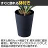 観葉植物 人工樹木 フェイクグリーン 造花 アオオリヅルラン 高さ400mm 鉢:SA-4(BK) 卓上-3
