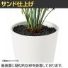 観葉植物 人工樹木 フェイクグリーン 造花 アオオリヅルラン 高さ400mm 鉢:SA-4(BK) 卓上-4