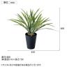 観葉植物 人工樹木 フェイクグリーン 造花 アオオリヅルラン 高さ400mm 鉢:SA-4(BK) 卓上-5