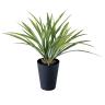 観葉植物 人工樹木 フェイクグリーン 造花 アオオリヅルラン 高さ400mm 鉢:SA-4(BK) 卓上-19