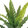観葉植物 人工樹木 フェイクグリーン 造花 アスプレニウム Sサイズ 高さ450mm 鉢:SA-4(BK) 卓上-1