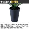 観葉植物 人工樹木 フェイクグリーン 造花 アスプレニウム Sサイズ 高さ450mm 鉢:SA-4(BK) 卓上-3