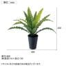 観葉植物 人工樹木 フェイクグリーン 造花 アスプレニウム Sサイズ 高さ450mm 鉢:SA-4(BK) 卓上-5