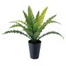 観葉植物 人工樹木 フェイクグリーン 造花 アスプレニウム Sサイズ 高さ450mm 鉢:SA-4(BK) 卓上-19