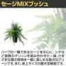 観葉植物 人工樹木 フェイクグリーン 造花 セージMIXブッシュ 高さ500mm 鉢:SA-5(BK) 卓上-2