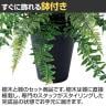 観葉植物 人工樹木 フェイクグリーン 造花 セージMIXブッシュ 高さ500mm 鉢:SA-5(BK) 卓上-3