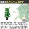 観葉植物 人工樹木 フェイクグリーン 造花 ポトスヘゴポット 簡易ポット付き 高さ450mm-2