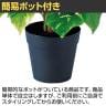 観葉植物 人工樹木 フェイクグリーン 造花 ポトスヘゴポット 簡易ポット付き 高さ450mm-3