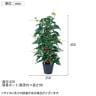 観葉植物 人工樹木 フェイクグリーン 造花 アイビーヘゴポット 簡易ポット付き 高さ450mm-4