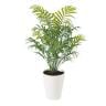 観葉植物 人工樹木 フェイクグリーン 造花 テーブルヤシ PE 高さ550mm 鉢:SA-5(WH) 卓上-19