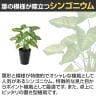 観葉植物 人工樹木 フェイクグリーン 造花 シンゴニウム 高さ430mm 鉢:SA-5(BK) 卓上-2