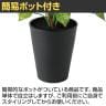 観葉植物 人工樹木 フェイクグリーン 造花 シンゴニウム 高さ430mm 鉢:SA-5(BK) 卓上-3