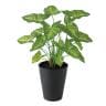 観葉植物 人工樹木 フェイクグリーン 造花 シンゴニウム 高さ430mm 鉢:SA-5(BK) 卓上-19
