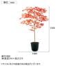 観葉植物 人工樹木 フェイクグリーン 造花 ヤマモミジ RED FST 高さ1500mm 鉢:ツリー7(BK)-5
