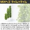 観葉植物 人工樹木 フェイクグリーン 造花 MIXヘゴ ライム/ライム 高さ1800mm 鉢:SA-10(WH)-3