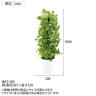観葉植物 人工樹木 フェイクグリーン 造花 MIXヘゴ ライム/ライム 高さ1800mm 鉢:SA-10(WH)-6