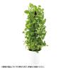 観葉植物 人工樹木 フェイクグリーン 造花 MIXヘゴ ライム/ライム 高さ1800mm 鉢:SA-10(WH)-19