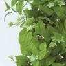 観葉植物 人工樹木 フェイクグリーン 造花 MIXヘゴ ライム/ライム 高さ1500mm 鉢:SA-10(WH)-2