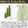 観葉植物 人工樹木 フェイクグリーン 造花 MIXヘゴ ライム/ライム 高さ1500mm 鉢:SA-10(WH)-3