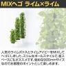 観葉植物 人工樹木 フェイクグリーン 造花 MIXヘゴ ライム/ライム 高さ900mm 鉢:SA-7(WH)-3