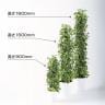 観葉植物 人工樹木 フェイクグリーン 造花 MIXヘゴ マーブル/ライム 高さ1800mm 鉢:SA-10(WH)-1