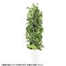 観葉植物 人工樹木 フェイクグリーン 造花 MIXヘゴ マーブル/ライム 高さ1800mm 鉢:SA-10(WH)-19