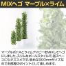 観葉植物 人工樹木 フェイクグリーン 造花 MIXヘゴ マーブル/ライム 高さ900mm 鉢:SA-7(WH)-3