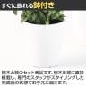 観葉植物 人工樹木 フェイクグリーン 造花 マーブルポトスヘゴ 高さ1800mm 鉢:SA-10(WH)-4