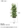 観葉植物 人工樹木 フェイクグリーン 造花 マーブルポトスヘゴ 高さ1800mm 鉢:SA-10(WH)-6