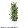 観葉植物 人工樹木 フェイクグリーン 造花 マーブルポトスヘゴ 高さ1800mm 鉢:SA-10(WH)-19