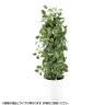 観葉植物 人工樹木 フェイクグリーン 造花 マーブルポトスヘゴ 高さ1500mm 鉢:SA-10(WH)-19