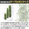 観葉植物 人工樹木 フェイクグリーン 造花 マーブルポトスヘゴ 高さ900mm 鉢:SA-7(WH)-3
