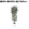 観葉植物 人工樹木 フェイクグリーン 造花 ベンジャミンバロック FST 高さ1800mm 鉢:SA-10(WH)