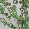 観葉植物 人工樹木 フェイクグリーン 造花 ベンジャミンバロック FST 高さ1800mm 鉢:SA-10(WH)-1