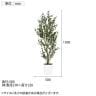 観葉植物 人工樹木 フェイクグリーン 造花 ベンジャミンバロック FST 高さ1500mm 鉢:SA-8(WH)-5