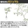 観葉植物 人工樹木 フェイクグリーン 造花 ガジュマル FST 高さ1200mm 鉢:SA-7(WH)-3
