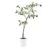 観葉植物 人工樹木 フェイクグリーン 造花 ガジュマル FST 高さ1200mm 鉢:SA-7(WH)-19