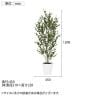 観葉植物 人工樹木 フェイクグリーン 造花 ベンジャミンバロック FST 高さ1200mm 鉢:SA-7(WH)-5