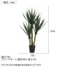 観葉植物 人工樹木 フェイクグリーン 造花 ユッカ ブラックポット付き 高さ1250mm-7