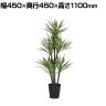 観葉植物 人工樹木 フェイクグリーン 造花 アガベ プラント ブラックポット付き 高さ1100mm