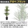 観葉植物 人工樹木 フェイクグリーン 造花 アガベ プラント ブラックポット付き 高さ1100mm-3