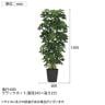 観葉植物 人工樹木 フェイクグリーン 造花 グリーンカポック ブラックポット付き 高さ1500mm-5
