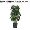 観葉植物 人工樹木 フェイクグリーン 造花 グリーンカポック ブラックポット付き 高さ1000mm