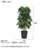 観葉植物 人工樹木 フェイクグリーン 造花 グリーンカポック ブラックポット付き 高さ1000mm-5