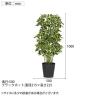 観葉植物 人工樹木 フェイクグリーン 造花 イエローカポック ブラックポット付き 高さ1000mm-5