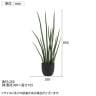 観葉植物 人工樹木 フェイクグリーン 造花 サンスベリア・スタッキー ブラックポット付き 高さ850mm-1