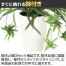 観葉植物 人工樹木 フェイクグリーン 造花 オリヅルラン G 高さ300mm 鉢:SA-4(WH) 卓上-3